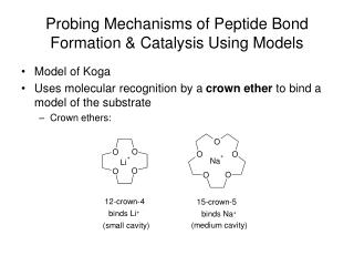 Probing Mechanisms of Peptide Bond Formation & Catalysis Using Models