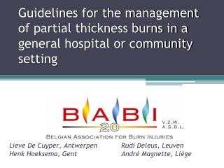 Guidelines for the management of partial thickness burns in a general hospital or community setting