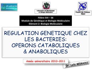 REGULATION GENETIQUE CHEZ LES BACTERIES: OPERONS CATABOLIQUES &amp; ANABOLIQUES