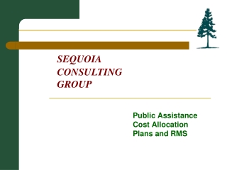 SEQUOIA   	CONSULTING  	GROUP
