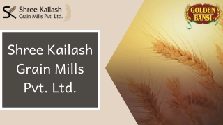 Broken Wheat, Durum Wheat & Sooji Manufacturers in India