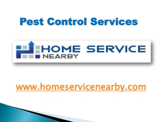 Pest Control Services Nearby