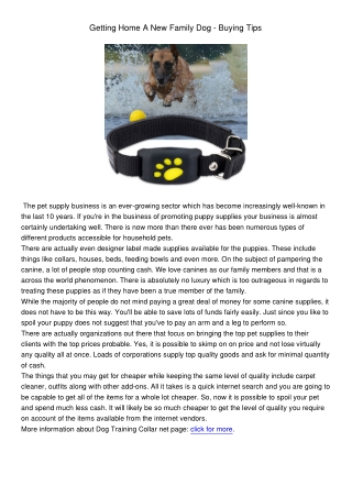 Dog Training Collar