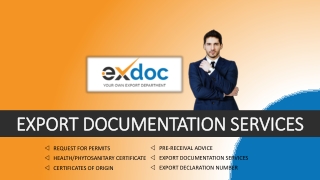 Export Documentation Services Work