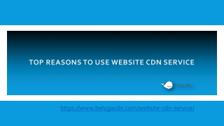 Website CDN Service | BelugaCDN