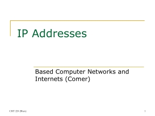 IP Addresses