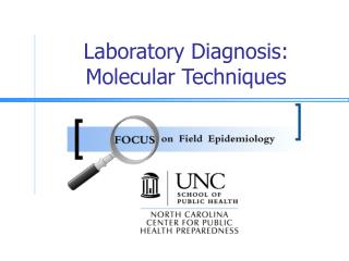 Laboratory Diagnosis: Molecular Techniques