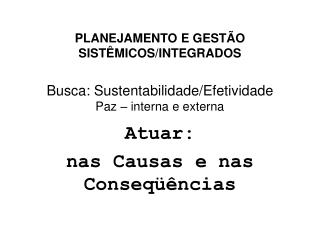 PLANEJAMENTO E GESTÃO SISTÊMICOS/INTEGRADOS Busca: Sustentabilidade/Efetividade Paz – interna e externa