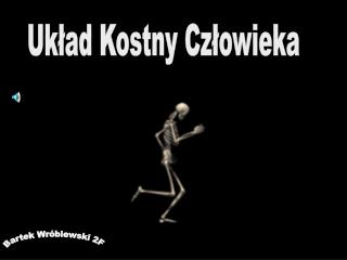 Układ Kostny Człowieka