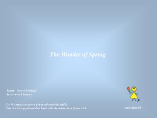 The Wonder of Spring