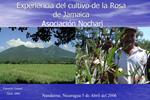 Experiencia del cultivo de la Rosa de Jamaica Asociaci n Nochari