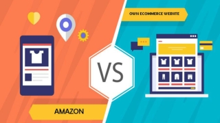 Should You Sell on Amazon or Through You Own eCommerce Website?