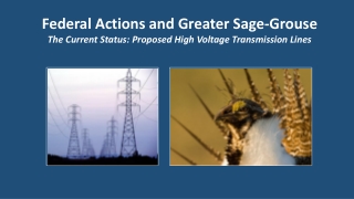 Federal Actions and Greater Sage-Grouse