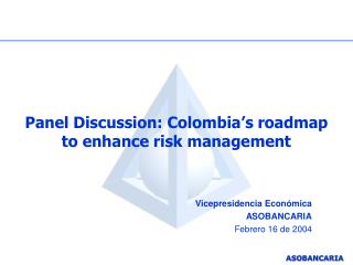 Panel Discussion: Colombia’s roadmap to enhance risk management