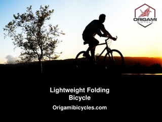 Lightweight Folding Bicycle