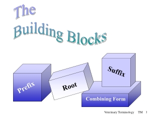 The Building Blocks