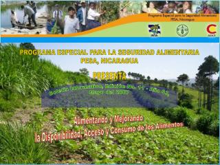 Aumentando y Mejorando la Disponibilidad, Acceso y Consumo de los Alimentos