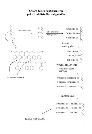 Szilárd fázisú peptidszintézis polisztirol-divinilbenzol gyantán