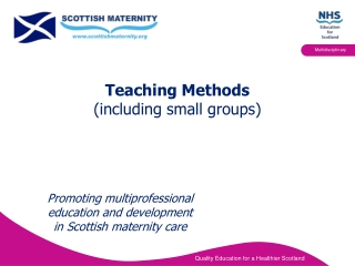 Teaching Methods  (including small groups)