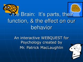 The Brain: It’s parts, their function, & the effect on our behavior