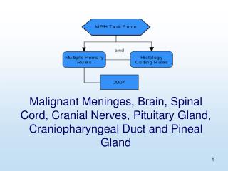 Malignant Meninges, Brain, Spinal Cord, Cranial Nerves, Pituitary Gland, Craniopharyngeal Duct and Pineal Gland