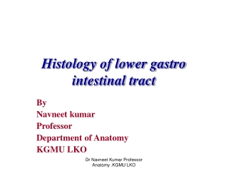 Histology of lower gastro intestinal tract