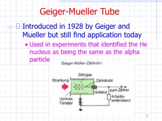 Geiger-Mueller Tube