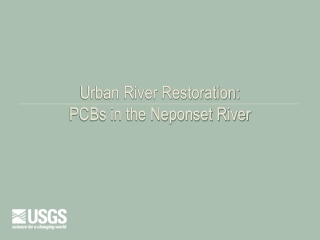 Urban River Restoration:  PCBs in the Neponset River