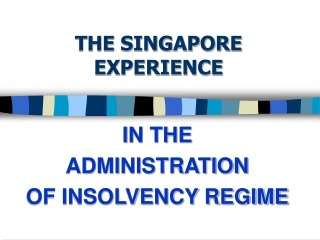 THE SINGAPORE EXPERIENCE