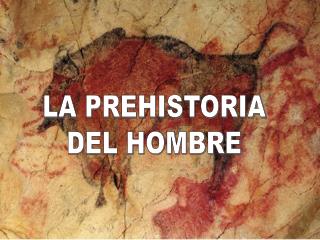 LA PREHISTORIA DEL HOMBRE