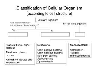 Classification of Cellular Organism ( according to cell structure)