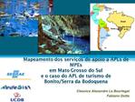Mapeamento dos servi os de apoio a APLs de MPEs em Mato Grosso do Sul e o caso do APL de turismo de Bonito