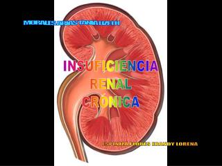 INSUFICIENCIA RENAL CRÓNICA