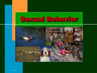 Sexual Behavior