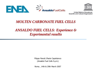 MOLTEN CARBONATE FUEL CELLS ANSALDO FUEL CELLS:  Experience &amp; Experimental results