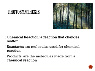 Photosynthesis