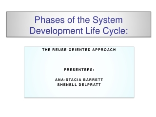 Phases of the System Development Life Cycle: