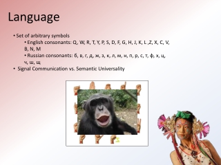 Language