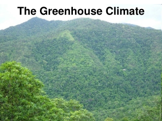 The Greenhouse Climate