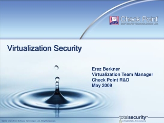 Virtualization Security