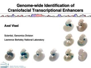 Genome-wide Identification of Craniofacial Transcriptional Enhancers