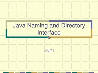 Java Naming and Directory Interface