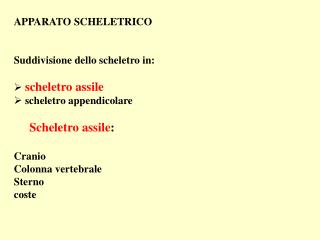 APPARATO SCHELETRICO Suddivisione dello scheletro in: scheletro assile scheletro appendicolare Scheletro assile : Crani