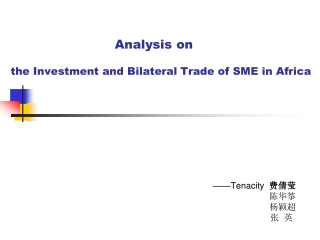 Analysis on the Investment and Bilateral Trade of  SME  in Africa