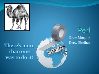 Perl