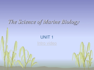 The Science of Marine Biology