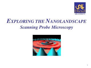 E XPLORING THE  N ANOLANDSCAPE Scanning Probe Microscopy