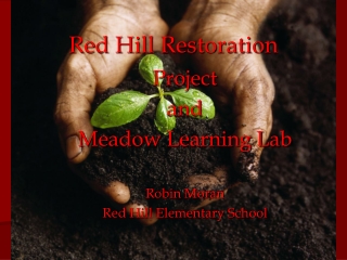 Red Hill Restoration