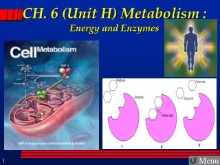 CH. 6 (Unit H) Metabolism :  Energy and Enzymes