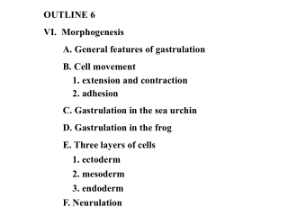 OUTLINE 6 VI.  Morphogenesis 	A. General features of gastrulation 	B. Cell movement